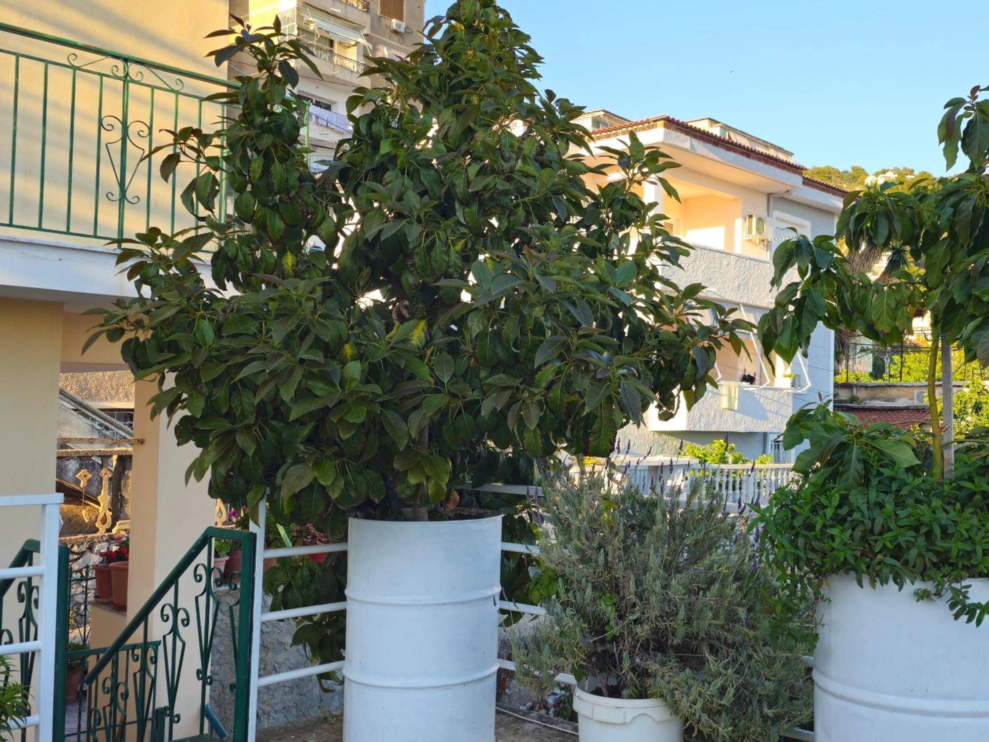 Joen Apartments Saranda Zewnętrze zdjęcie