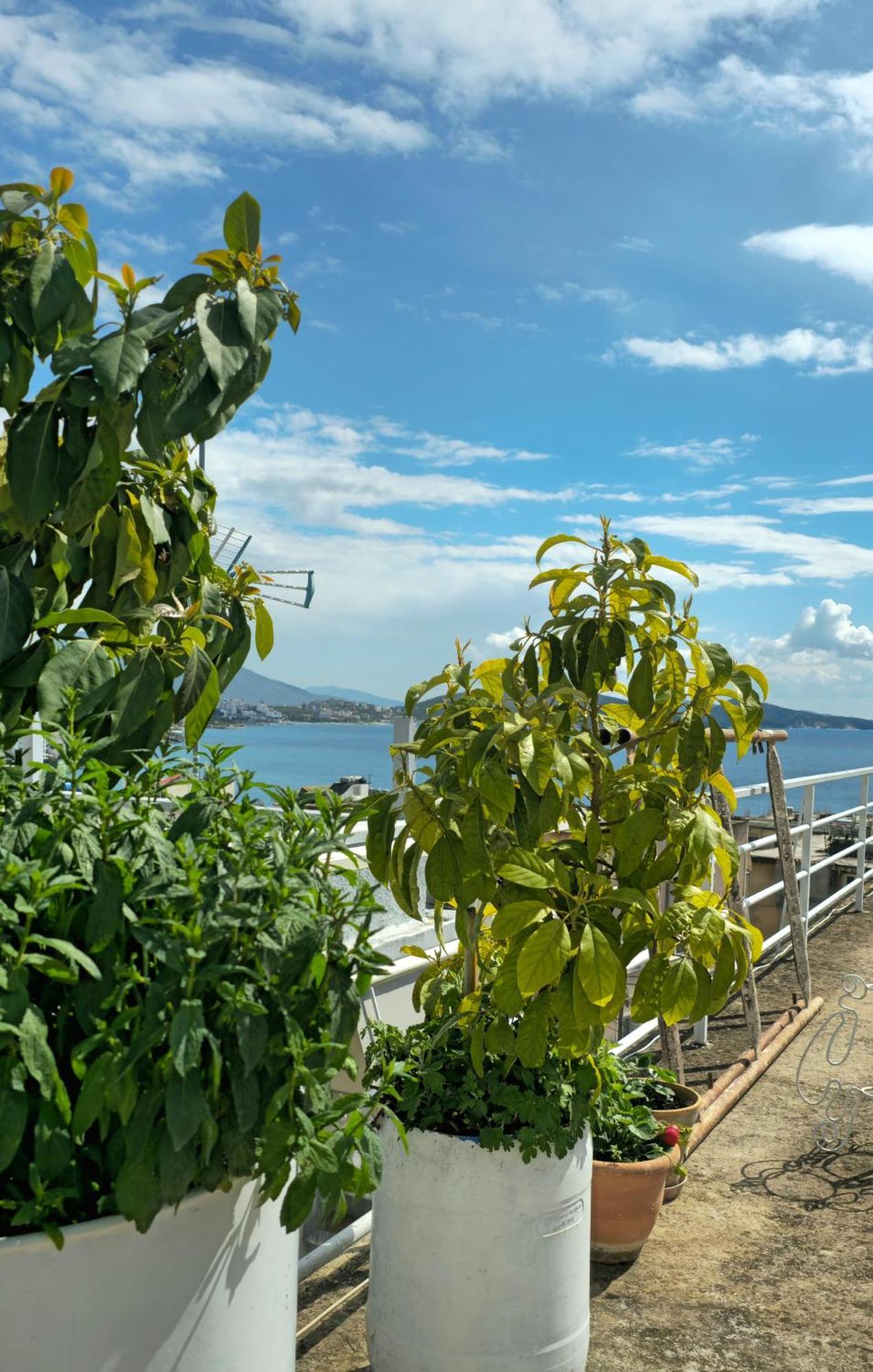 Joen Apartments Saranda Zewnętrze zdjęcie